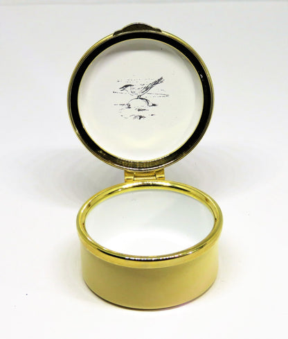 STAFFORDSHIRE ENGLISH ENAMEL BOX - BEACH SCENE & SEAGULLS - SEASHELLS - STARFISH