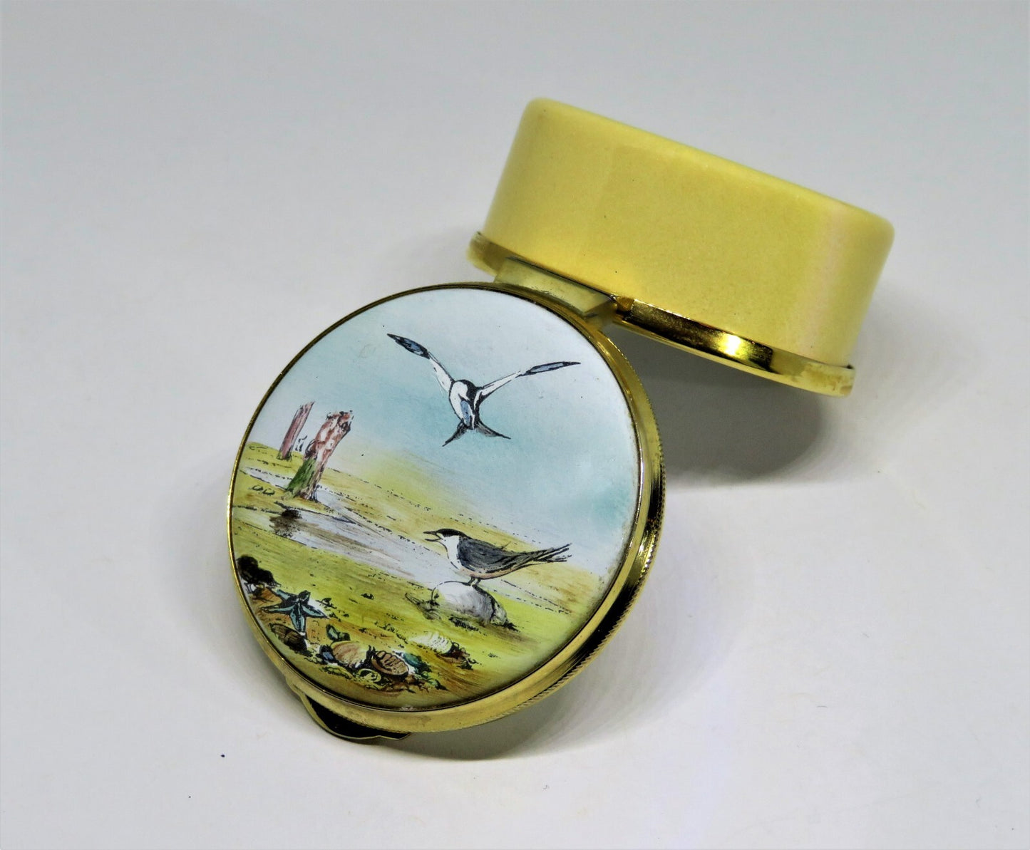 STAFFORDSHIRE ENGLISH ENAMEL BOX - BEACH SCENE & SEAGULLS - SEASHELLS - STARFISH
