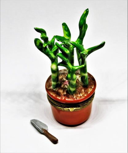 LIMOGES FRANCE BOX - ROCHARD - LUCKY BAMBOO PLANT  & PORCELAIN GARDENING TOOL