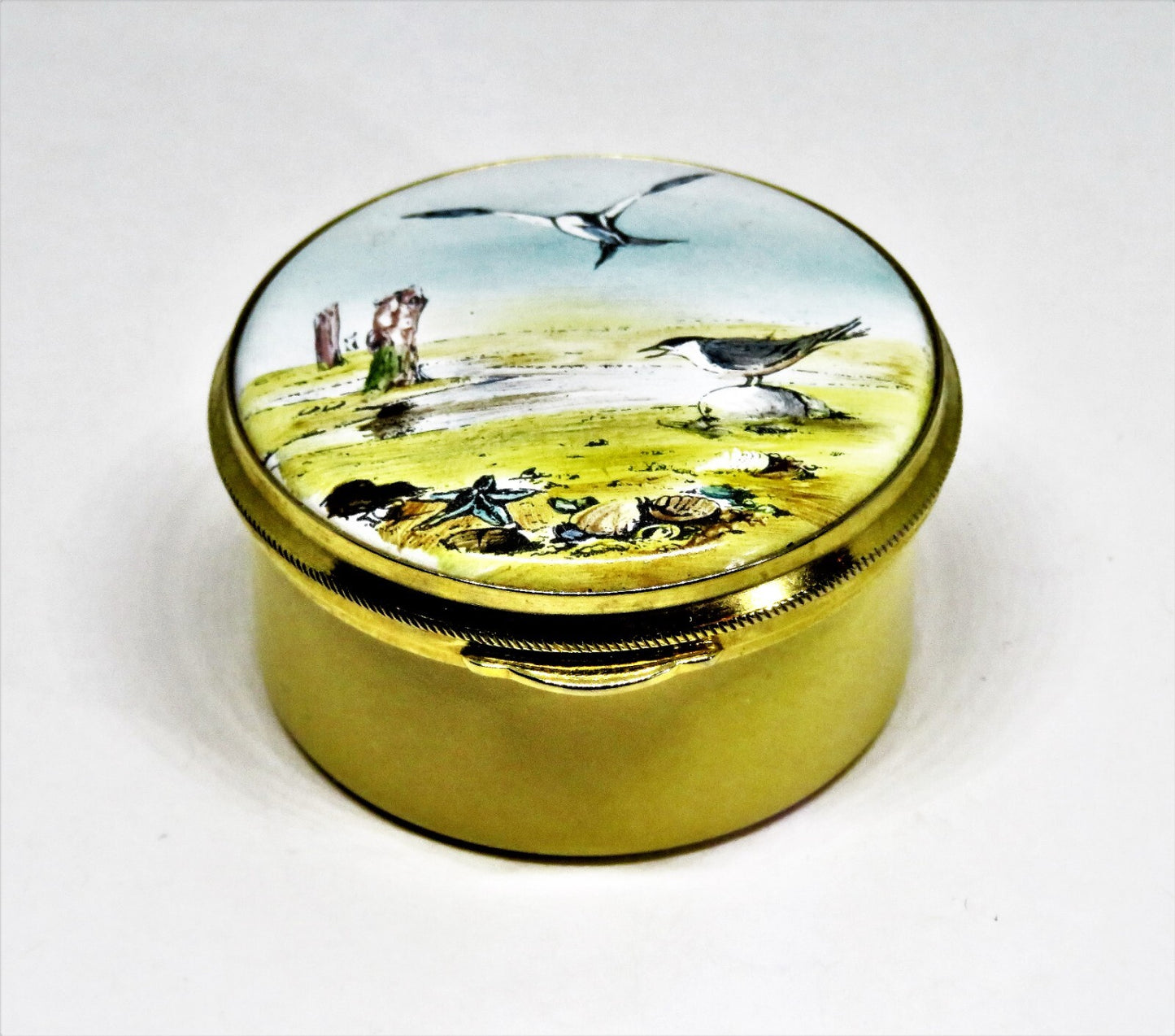 STAFFORDSHIRE ENGLISH ENAMEL BOX - BEACH SCENE & SEAGULLS - SEASHELLS - STARFISH