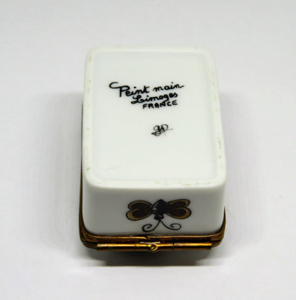 LIMOGES FRANCE BOX - BUTTERFLY & DRAGONFLY RECTANGLE - BUTTERFLY CLASP - INSECTS