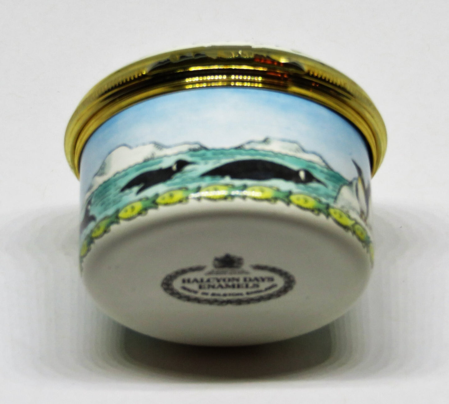 HALCYON DAYS ENGLISH ENAMEL BOX - EMPEROR PENGUINS - BIRDS - FISH - ANTARCTICA