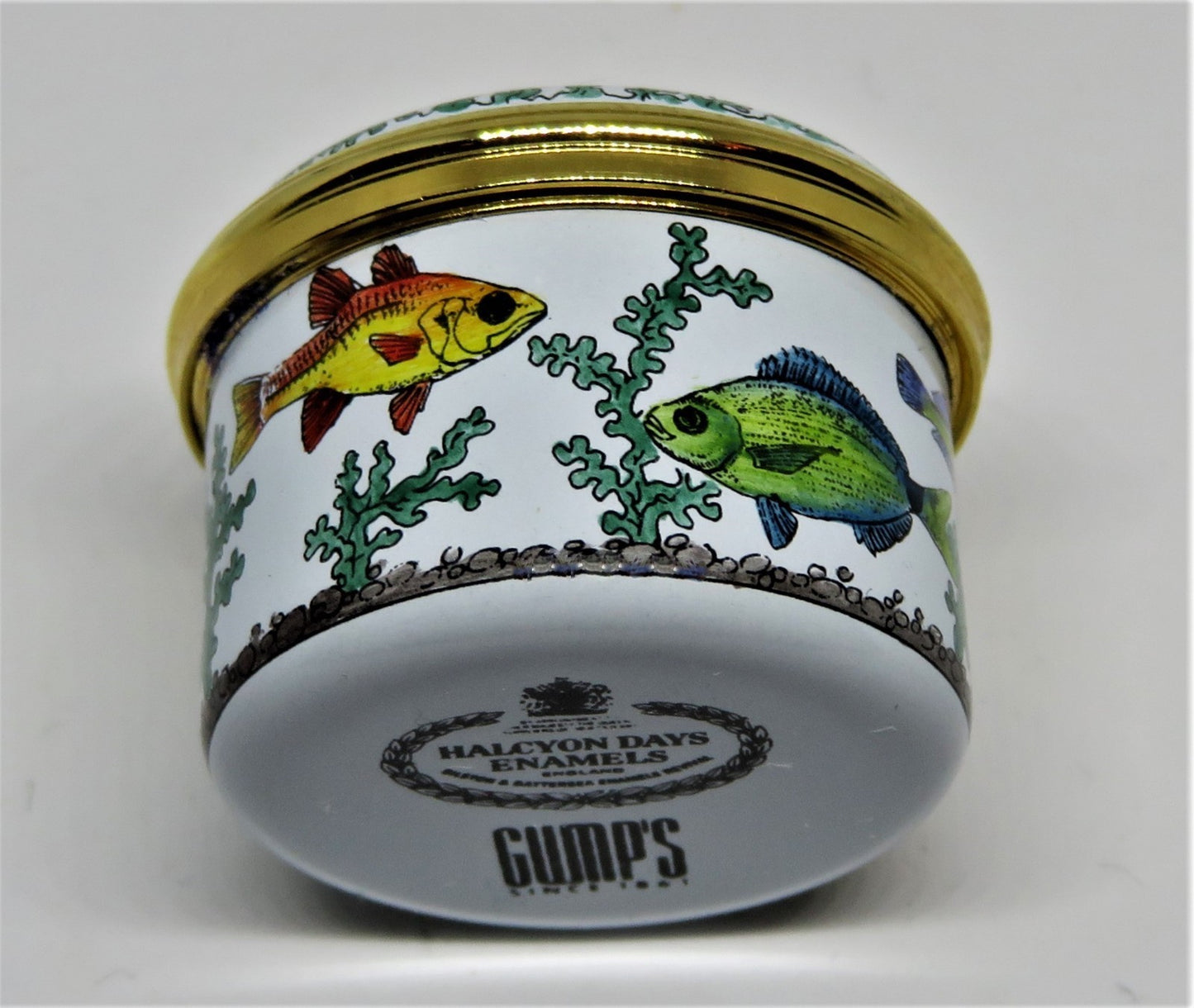 HALCYON DAYS ENAMEL BOX- "EAT, SLEEP, FISH" - FISHING - SEAWEED - GUMP'S - GUMPS