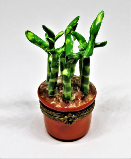 LIMOGES FRANCE BOX - ROCHARD - LUCKY BAMBOO PLANT  & PORCELAIN GARDENING TOOL