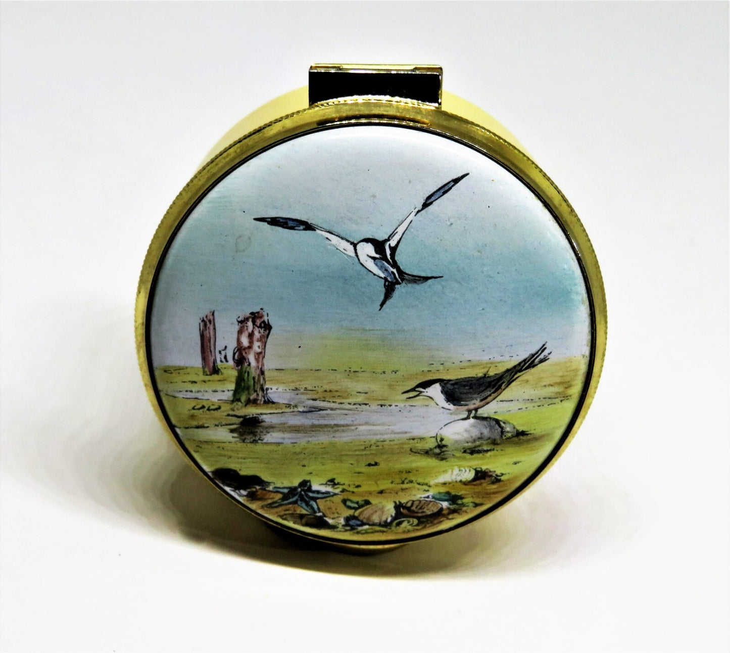 STAFFORDSHIRE ENGLISH ENAMEL BOX - BEACH SCENE & SEAGULLS - SEASHELLS - STARFISH