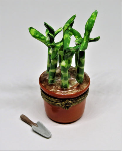 LIMOGES FRANCE BOX - ROCHARD - LUCKY BAMBOO PLANT  & PORCELAIN GARDENING TOOL