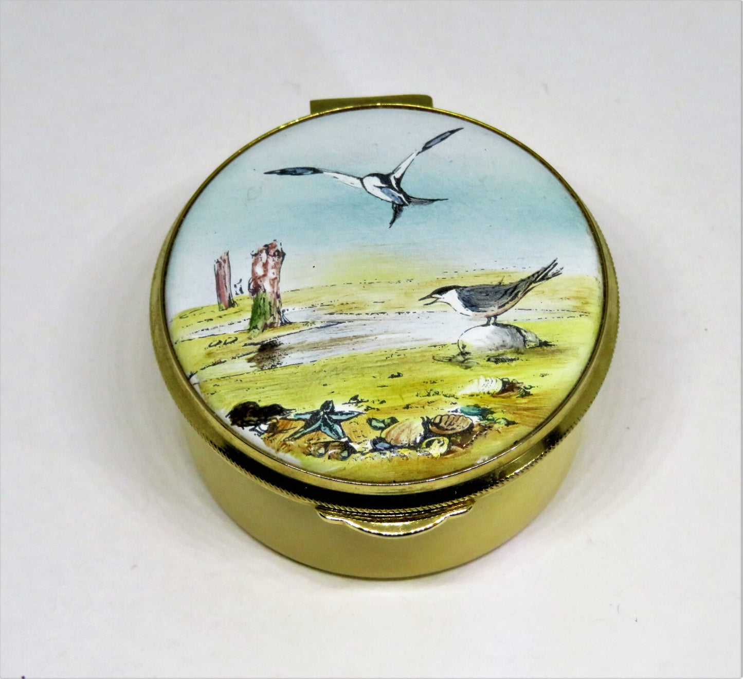 STAFFORDSHIRE ENGLISH ENAMEL BOX - BEACH SCENE & SEAGULLS - SEASHELLS - STARFISH